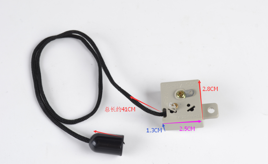 Switch - B06110010